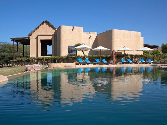 From Safari to Spa: Experiencing the Best of Sir Bani Yas Island in a Weekend