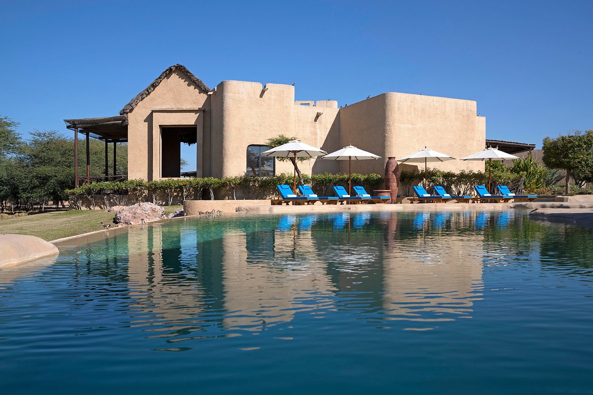 From Safari to Spa: Experiencing the Best of Sir Bani Yas Island in a Weekend