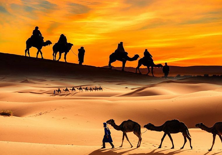 Dubai Sunset Camel Trekking With BBQ Dinner & Shows by ABC Tours