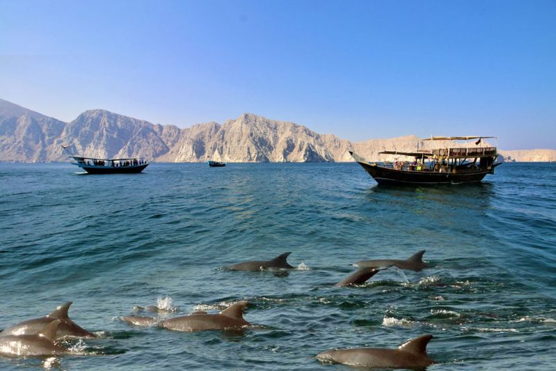 Musandam Khasab Dhow Cruise by ABC Tours