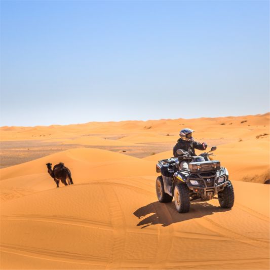 Quadbiking In Dubai (Open Desert, Sandboarding, Camel Ride, Barbeque + Live Shows At Majilis Camp) by ABC Tours