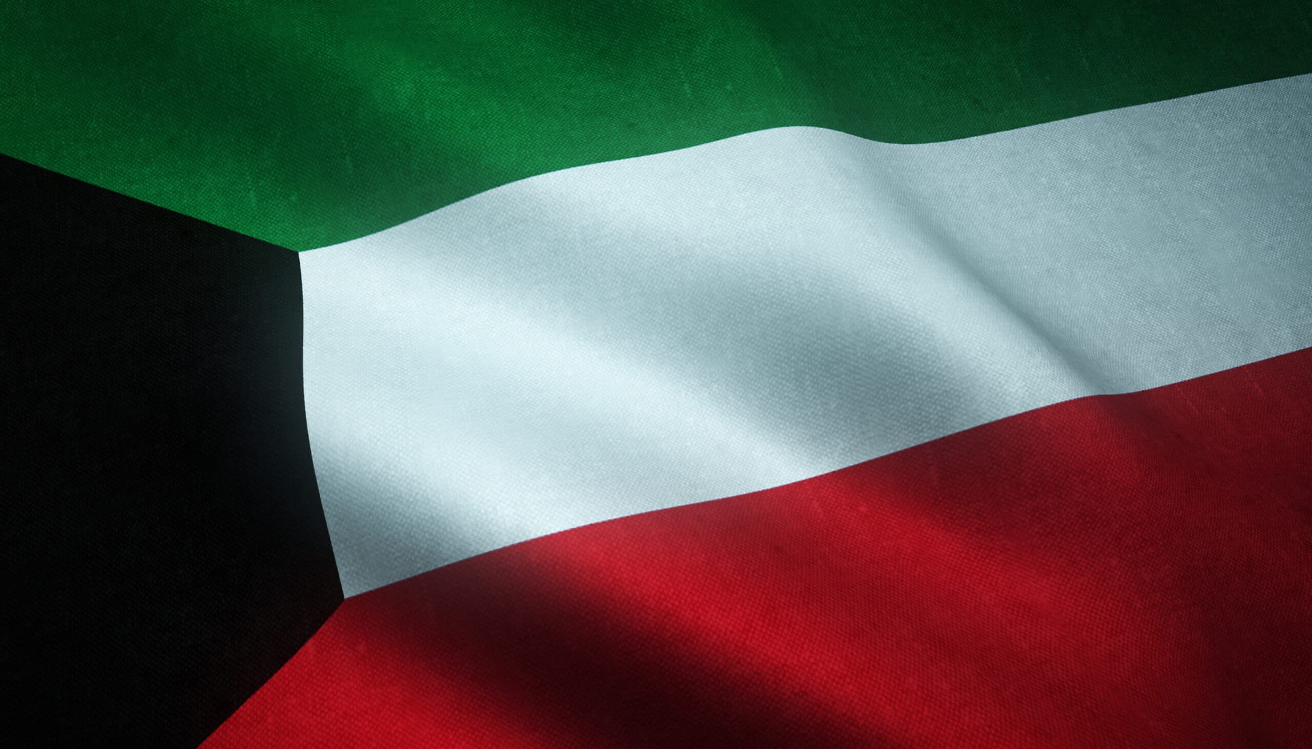 UAE Flag Background